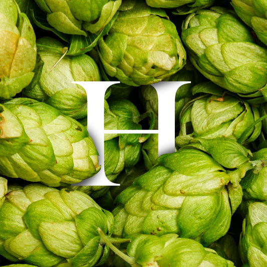 Hop benefits for hair - Diana Drummond