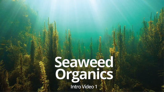 Seaweed Organics Intro video Ver.1 - Diana Drummond