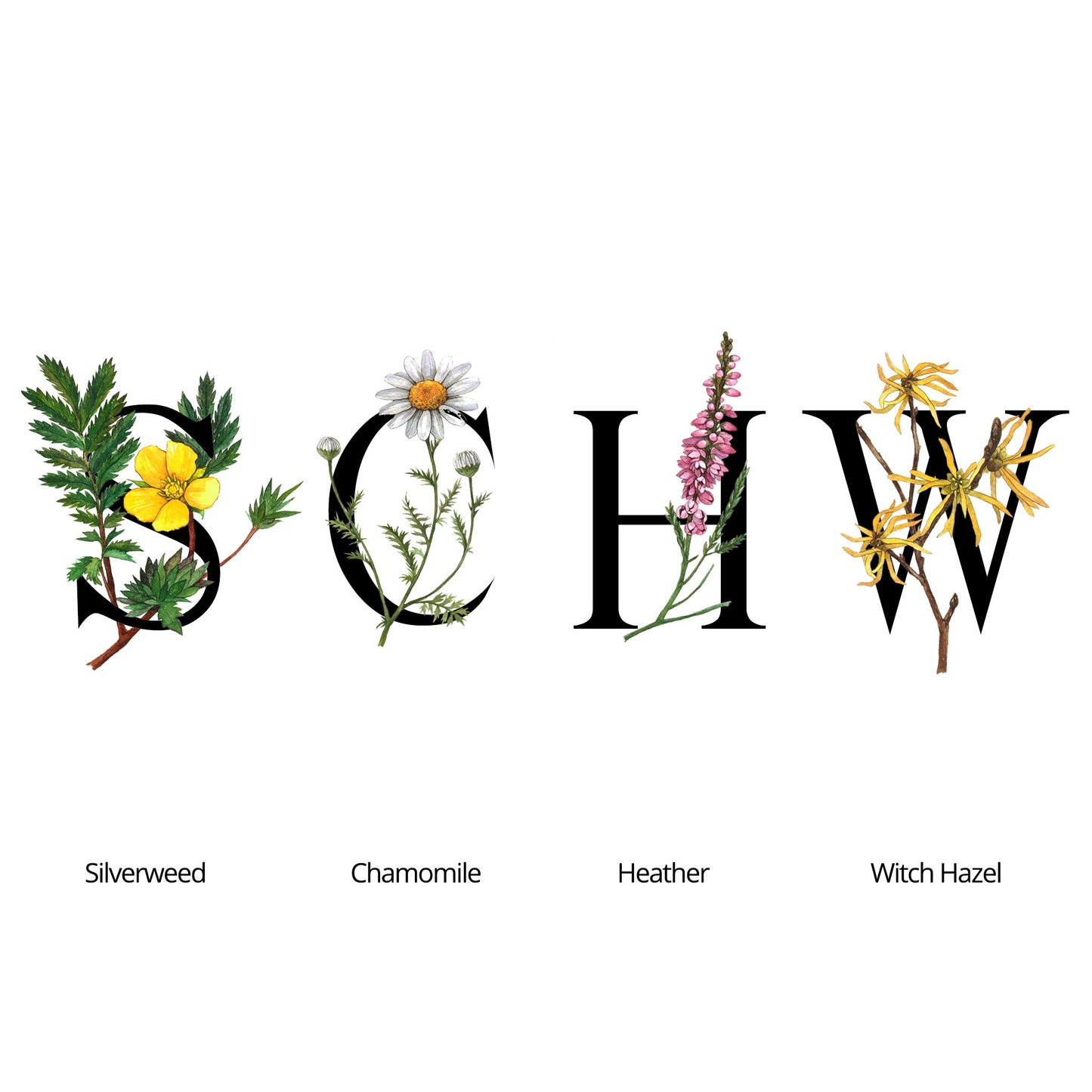 Scottish Botanicals toner in clear plastic bottle infused with 7 miracle herbs to cleanse and soothe