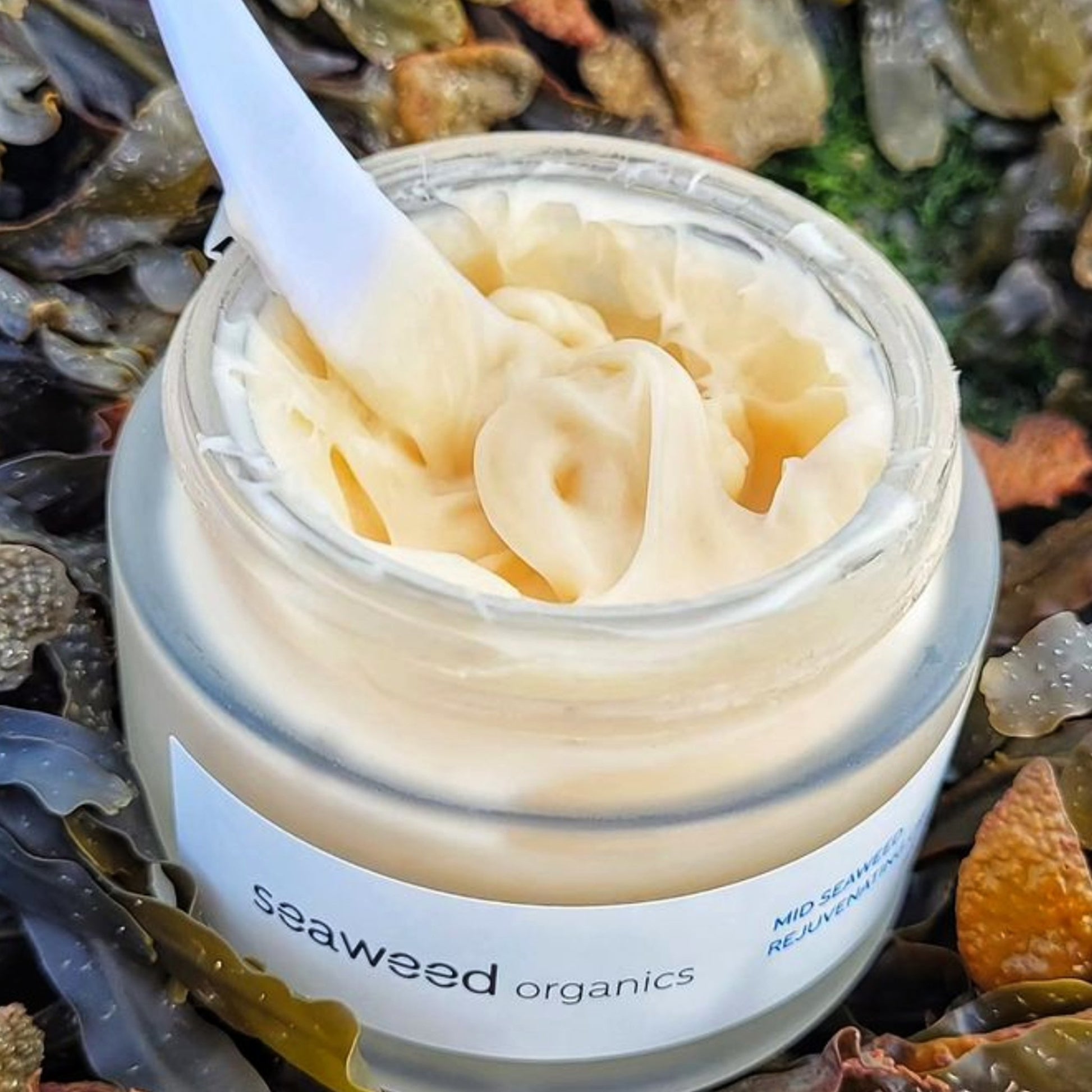Midweight texture cream highlighting seaweed ingredients with natural setting