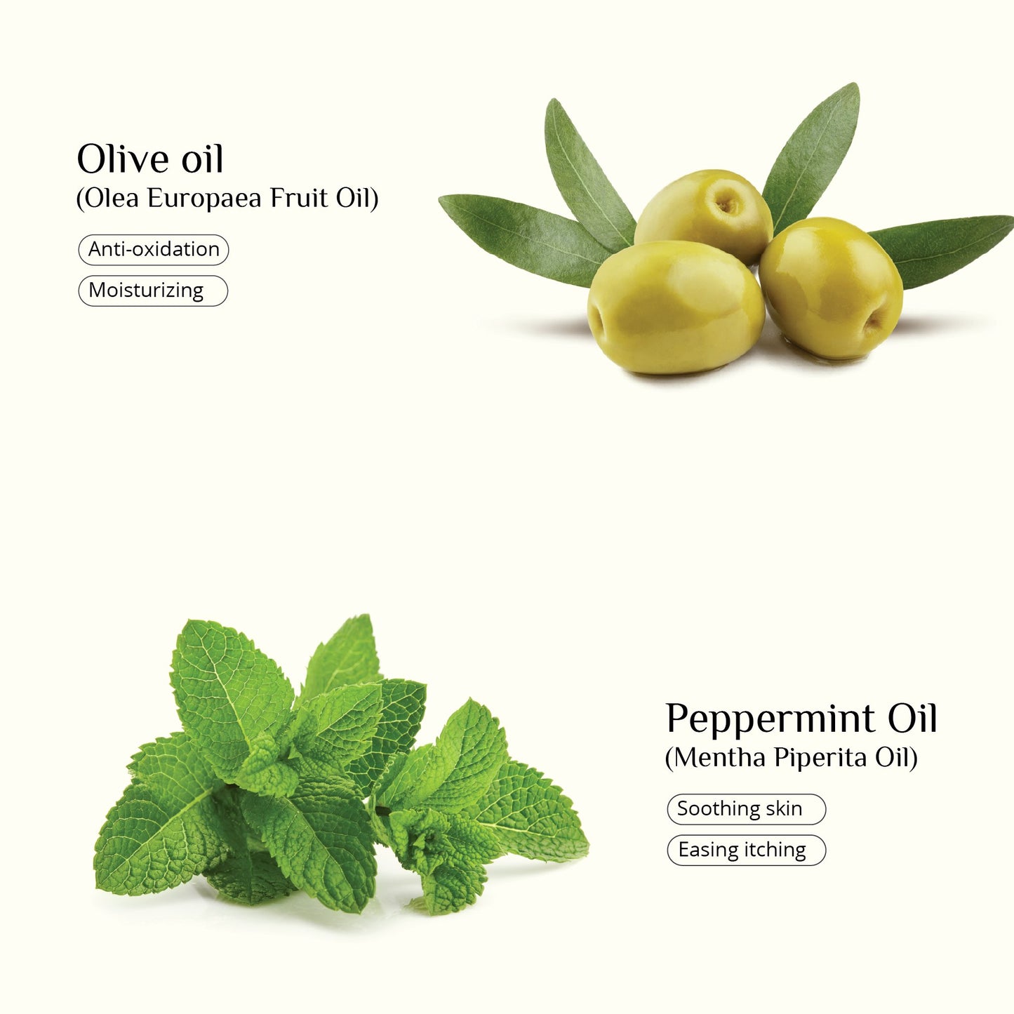 Organic seaweed-infused lip balm for dry lips, Case 4 variant