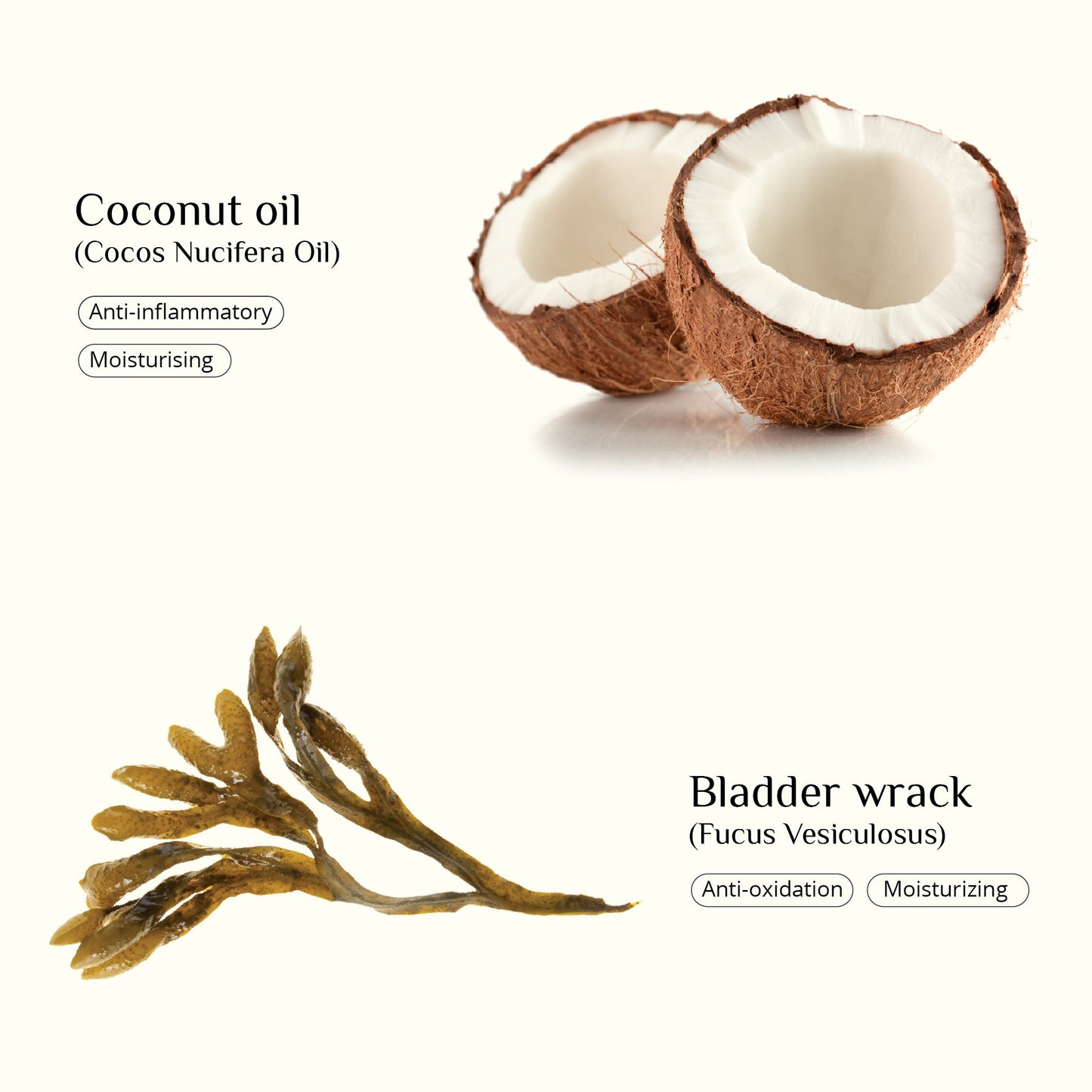 Moisturising lip balm with nourishing seaweed, from Seaweed Organics