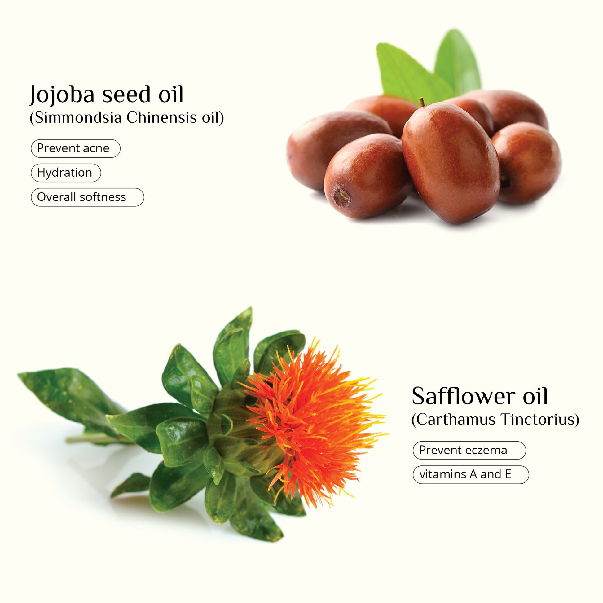 SEAWEED ORGANICS plant-based oil blend for deeply nourished and revitalized skin