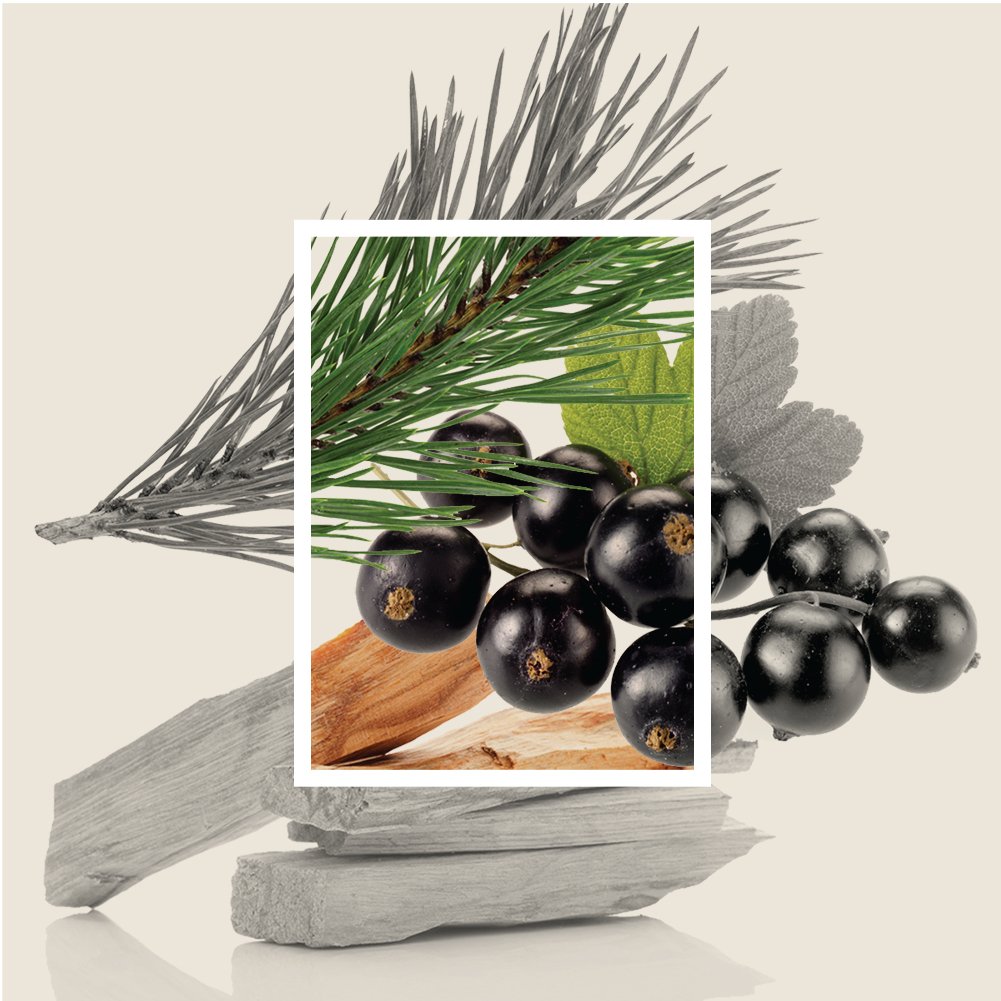 Scottish-inspired DIANA DRUMMOND Sable 2023 warm and woody fragrance
