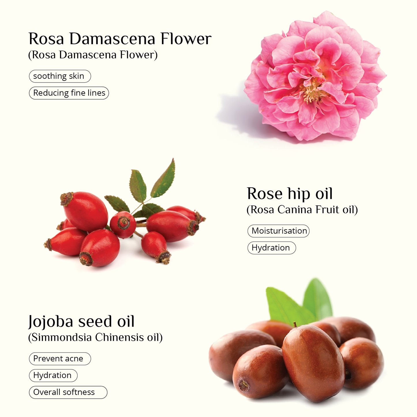 SEAWEED ORGANICS Seaweed Skinfood Cream – a nourishing cream infused with seaweed extracts, designed to deeply hydrate and replenish the skin, leaving it feeling soft, balanced, and revitalized. by diana drummond
