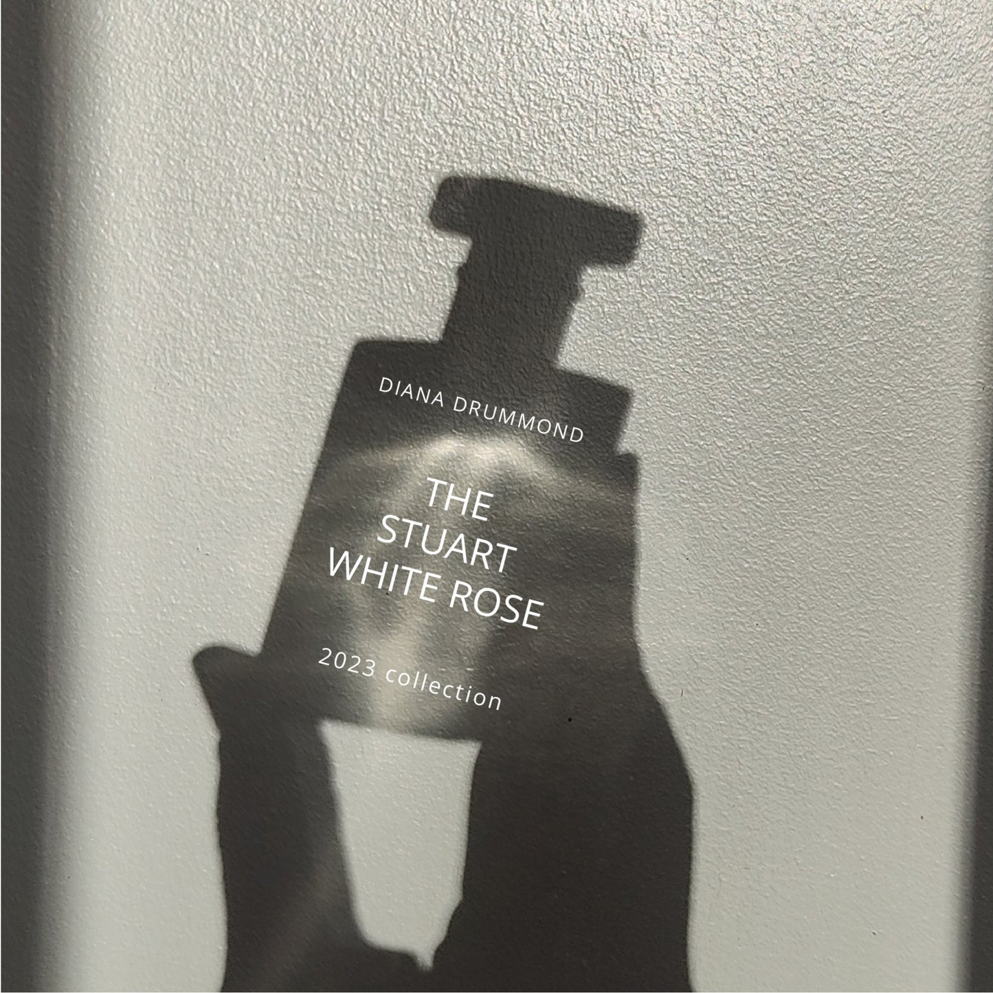 DIANA DRUMMOND The Stuart White Rose 2023" is a luxurious perfume that embodies a feminine and seductive fragrance.