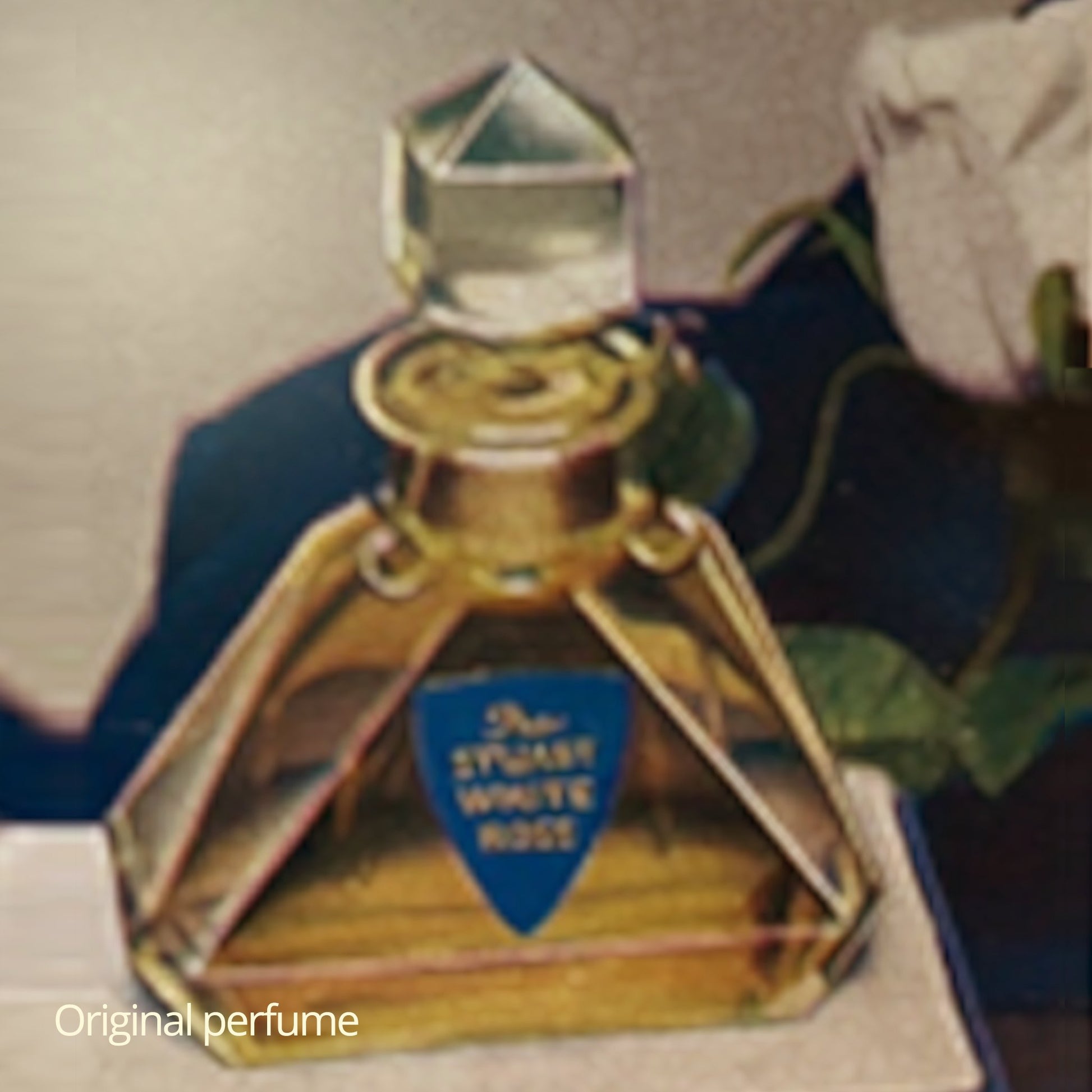 Diana Drummond The Stuart perfume featuring a delicate white rose aroma
