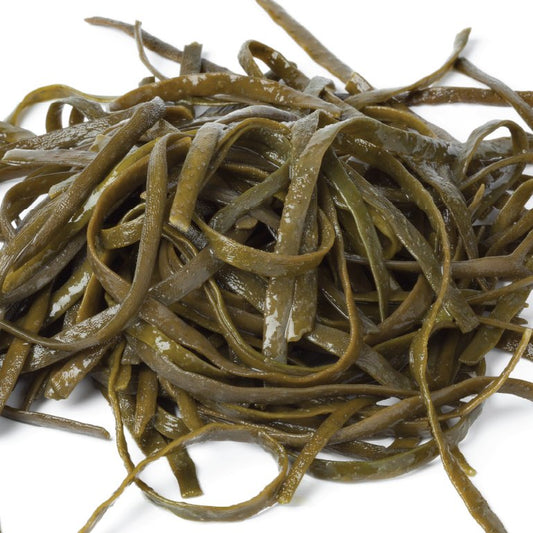 Sea spaghetti seaweed - Diana Drummond