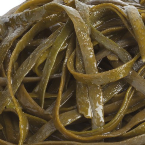 Sea spaghetti seaweed benefits of skin - Diana Drummond