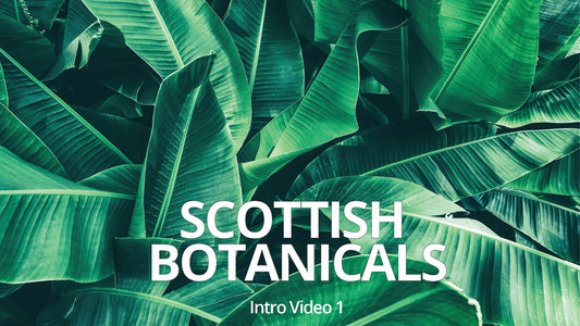 Sottish Botanicals Intro video Ver.1 - Diana Drummond