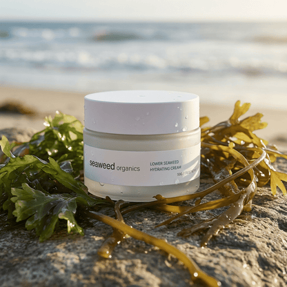 Lower Seaweed Hydrating Cream - Diana DrummondLower Seaweed Hydrating CreamCreamSEAWEED ORGANICSDiana Drummond