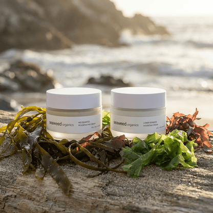 Mid+Lower facial cream gift set - Diana DrummondMid+Lower facial cream gift setGift skincareSEAWEED ORGANICSDiana Drummond