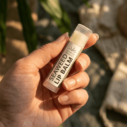 Moisturising Seaweed Lip Balm - Diana DrummondMoisturising Seaweed Lip BalmLip BalmSEAWEED ORGANICSDiana Drummond