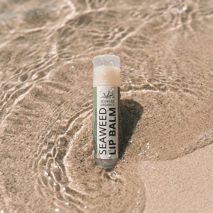 Moisturising Seaweed Lip Balm - Diana DrummondMoisturising Seaweed Lip BalmLip BalmSEAWEED ORGANICSDiana Drummond