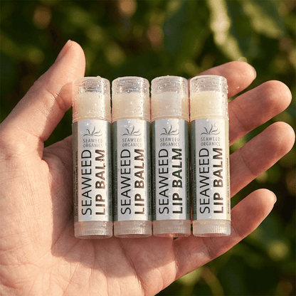 Moisturising Seaweed Lip Balm - Case 4 - Diana DrummondMoisturising Seaweed Lip Balm - Case 4Lip BalmSEAWEED ORGANICSDiana Drummond