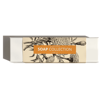 SCOTTISH BOTANICALS Soap Collection – a curated selection of luxurious, handmade soaps infused with natural botanicals, designed to cleanse, nourish, and pamper the skin, leaving it soft, refreshed, and beautifully scented. by diana drummond